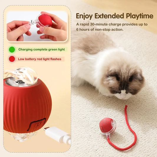 Happy Pet Roller Ball